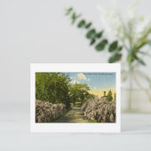 Pine Grove Park Port Huron Michigan Briefkaart (Staand voorkant)