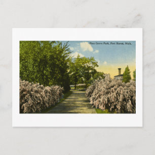 Pine Grove Park Port Huron Michigan  Briefkaart