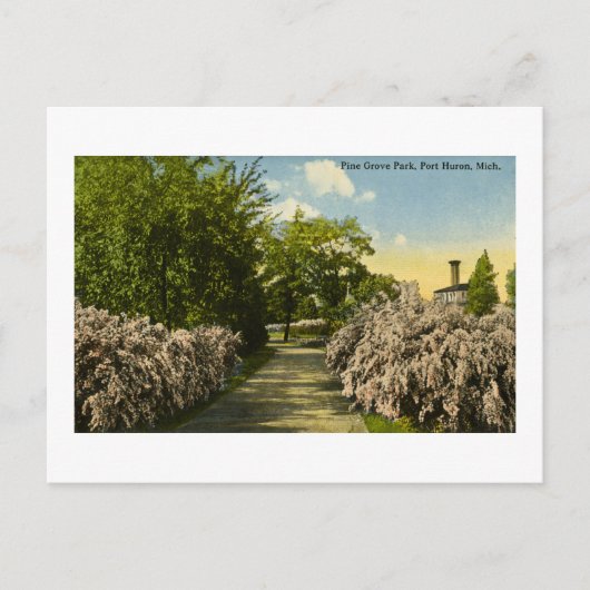 Pine Grove Park Port Huron Michigan Briefkaart (Voorkant)