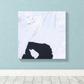 Pine Island Glacier Canvas Afdruk (Insitu (Houten vloer))