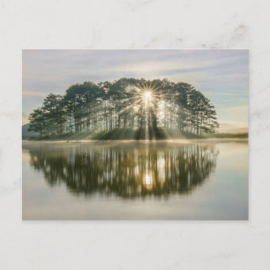 Pine Island Sunray Briefkaart