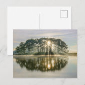Pine Island Sunray Briefkaart (Voorkant / Achterkant)