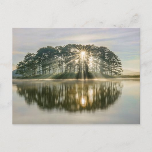 Pine Island Sunray Briefkaart (Voorkant)