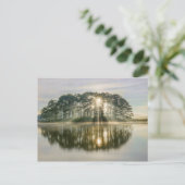 Pine Island Sunray Briefkaart (Staand voorkant)