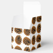 Pine kegels Favor Box Bedankdoosjes (Geopend)