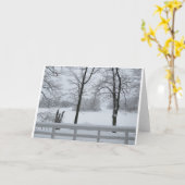 Pine Lake #2 Cove Winter Kaart (Gele Bloem)