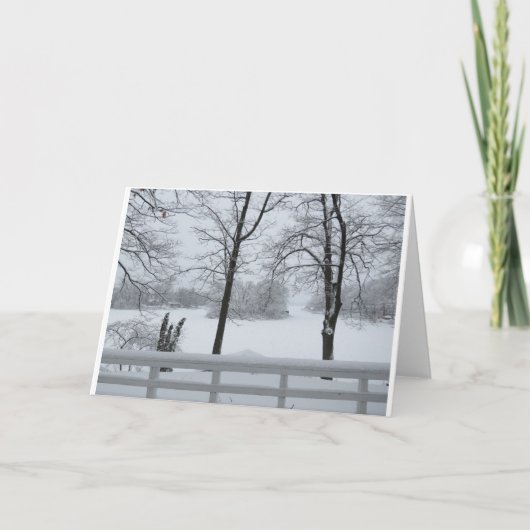 Pine Lake #2 Cove Winter Kaart (Voorkant)