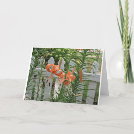 Pine Lake Lilies Kaart