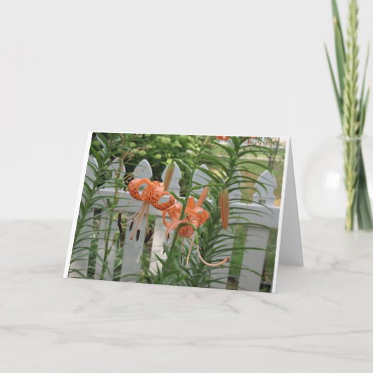 Pine Lake Lilies Kaart (Voorkant)