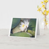 Pine Lake Water Lily Kaart (Gele Bloem)