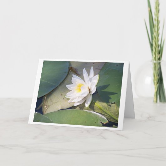 Pine Lake Water Lily Kaart (Voorkant)