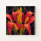 Pine Lily Aangepaste Spiraal Notebook Notitieboek (Achterkant)