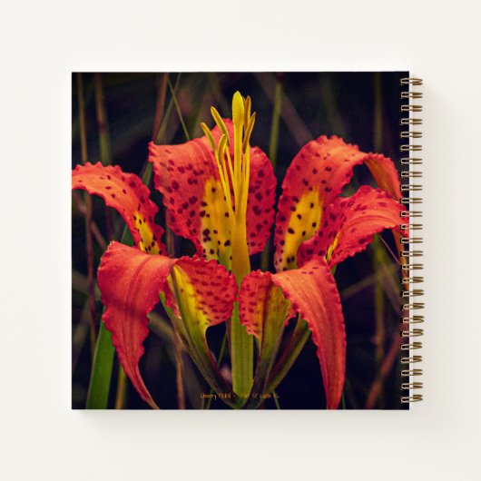 Pine Lily Custom Spiral Notitieboek (Achterkant)