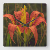 "Pine Lily"  Vierkante Klok (Voorkant)
