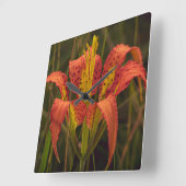 "Pine Lily"  Vierkante Klok (Hoek)