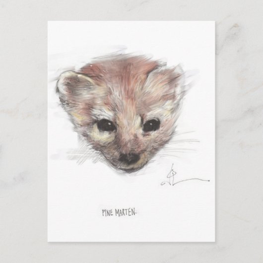 Pine Marten Briefkaart (Voorkant)