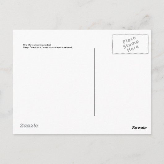 Pine Marten Briefkaart (Achterkant)