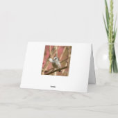 Pine marten Folded Wenskaart Kaart (Achterkant)