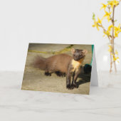 Pine marten Folded Wenskaart Kaart (Gele Bloem)