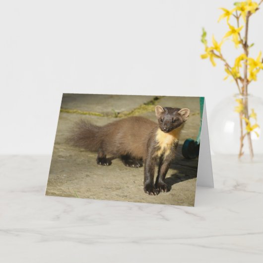 Pine marten Folded Wenskaart Kaart (Gele Bloem)