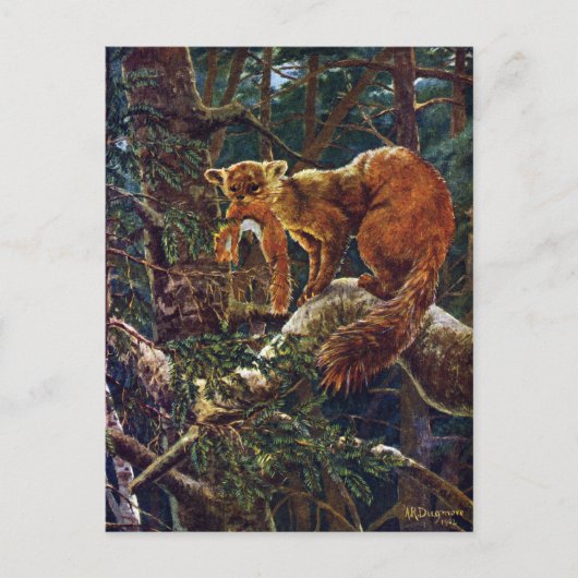 Pine Marten met Prey Briefkaart (Voorkant)
