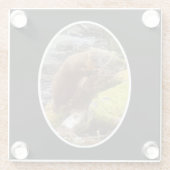 Pine Marten op Log Glass Onderzetter (Achterkant)