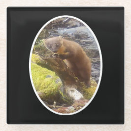 Pine Marten op Log Glass Onderzetter Glazen Onderzetter