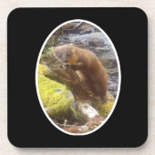 Pine Marten op Log Hard Plastic 6 Onderzetter Set (Voorkant)