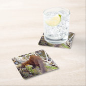 Pine Marten op Log Onderzetter (Insitu)