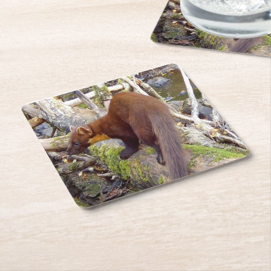 Pine Marten op Log Onderzetter (Schuin)