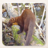 Pine Marten op Log Onderzetter (Voorkant)