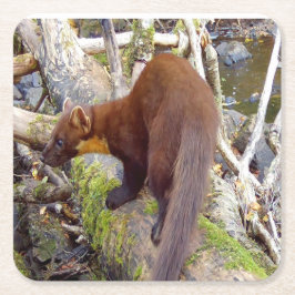 Pine Marten op Log Onderzetter