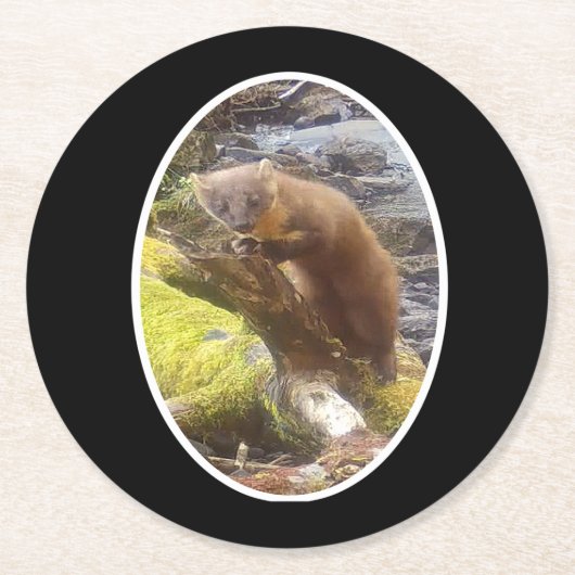 Pine Marten op Log Paper Onderzetter (Voorkant)