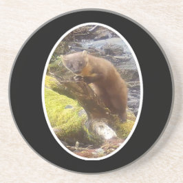 Pine Marten op Log Sandstone Onderzetter