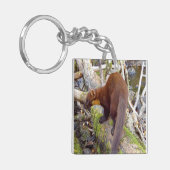 Pine Marten op Log Sleutelhanger (Voorkant Links)