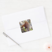 Pine Marten op Log Vierkante Sticker (Envelop)