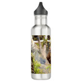 Pine Marten op Log Waterfles (Links)