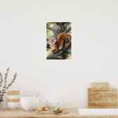 Pine Marten Poster (Keuken)