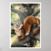 Pine Marten Poster (Voorkant)