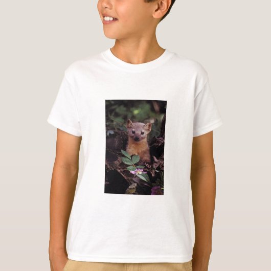 Pine Marten T-shirt (Voorkant)