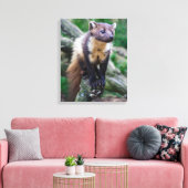 Pine Marten Wrapped Canvas (Insitu (Woonkamer))