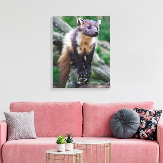 Pine Marten Wrapped Canvas Afdruk (Insitu (Woonkamer))