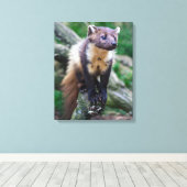 Pine Marten Wrapped Canvas Afdruk (Insitu (Houten vloer))