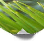 Pine naalden poster (Hoek)