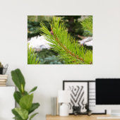 Pine naalden poster (Thuiskantoor)