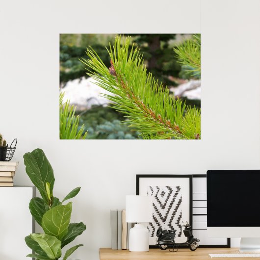 Pine naalden poster (Thuiskantoor)