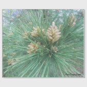 Pine naaldengeleidepapier cadeaupapier (Vlak)