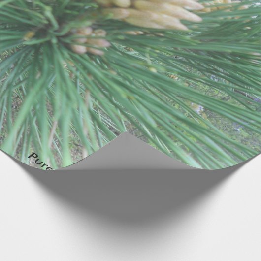 Pine naaldengeleidepapier cadeaupapier (Hoek)