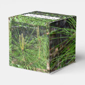 Pine Needles van Kenneth Yoncich Bedankdoosjes (Achterkant)