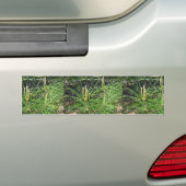 Pine Needles van Kenneth Yoncich Bumpersticker (Op auto)